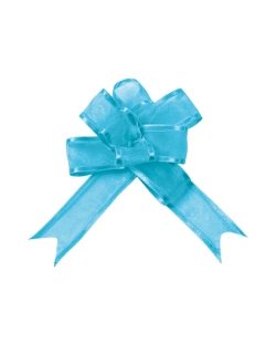 Lazo Facil Turquesa 16mm Organdi ***OFERTA DTO NO ACUMULABLE