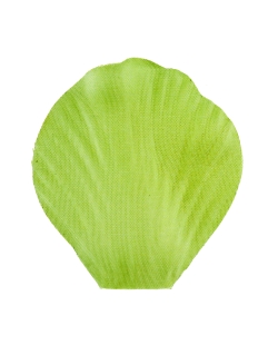 Petalo Verde 5X4.6cm Tela ***OFERTA DTO NO ACUMULABLE