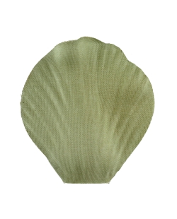 Petalo Verde Oliva 5X4.6cm Tela ***OFERTA DTO NO ACUMULABLE