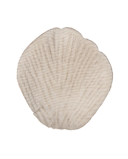 Petalo Marron-Gris Topo 5X4.6cm Tela ***OFERTA DTO NO ACUMULABLE