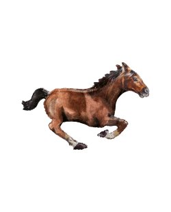 Forma Galloping Horse 101cm x 63cm