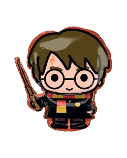 Forma Harry Potter 48 X 78cm