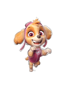 Forma Patrulla Canina Skye 91X61cm