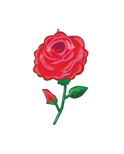 Forma Rosa 55X96cm