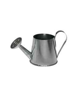 Deco. Regadera Plata 3 X 9 X 5cm Metal ***OFERTA DTO NO ACUMULABLE