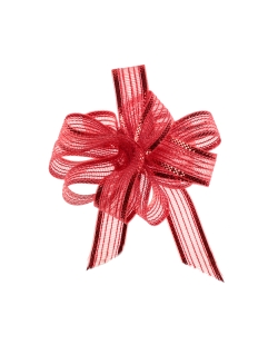 Lazo Facil Rojo 10mm x 5m Poliester ***OFERTA DTO NO ACUMULABLE