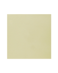 Servilletas Rainbow Champan 40x40cm Airlaid 65 gr/m2 ***OFERTA DTO NO ACUMULABLE