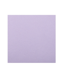 Servilletas Rainbow Violeta 40x40cm Airlaid 65 gr/m2 ***OFERTA DTO NO ACUMULABLE