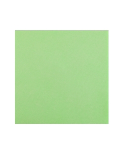 Servilletas Rainbow Verde Menta 40x40cm Airlaid 65 gr/m2 ***OFERTA DTO NO ACUMULABLE