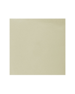 Servilletas Rainbow Arena 40x40cm Airlaid 65 gr/m2 ***OFERTA DTO NO ACUMULABLE