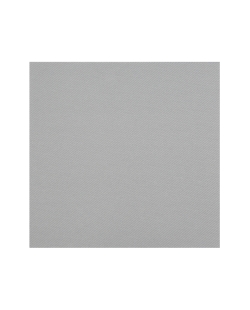 Servilletas Rainbow Plata 40x40cm Airlaid 65 gr/m2 ***OFERTA DTO NO ACUMULABLE