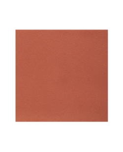 Servilletas Rainbow Terracota 40x40cm Airlaid 65 gr/m2 ***OFERTA DTO NO ACUMULABLE