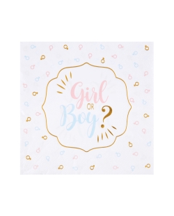 Servilletas Girl Or Boy 33 X 33cm Papel 3 Capas ***OFERTA DTO NO ACUMULABLE