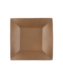 Platos cuadrado peque&ntilde;o Kraft 18x18cm fibra natural 290gr/m2 ***OFERTA DTO NO ACUMULABLE