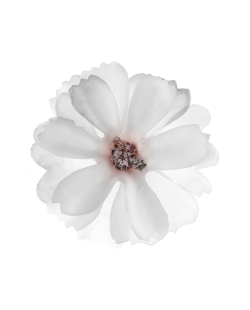 Deco Mesa Confeti Flor Blanca 4.5 X 4.5cm Tela ***OFERTA DTO NO ACUMULABLE