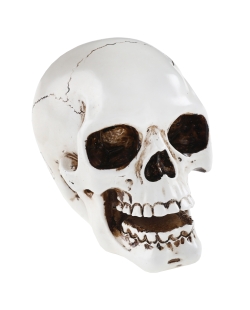 Decoracion Craneo Blanco 7X10.5X9cm Resina ***OFERTA DTO NO ACUMULABLE
