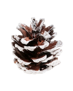 Deco. Pi&ntilde;a Blanco 4X5cm Madera ***OFERTA DTO NO ACUMULABLE