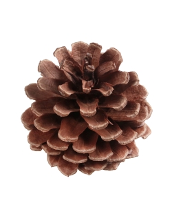 Deco. Pi&ntilde;a Natural 4X5cm Madera ***OFERTA DTO NO ACUMULABLE