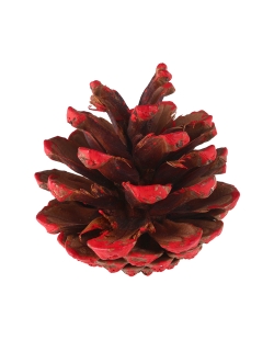 Deco. Pi&ntilde;a Rojo 4X5cm Madera ***OFERTA DTO NO ACUMULABLE