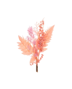 Ramo Flores Peq. Rosa 6.5 X 12cm Elemt.Naturalseco ***OFERTA DTO NO ACUMULABLE