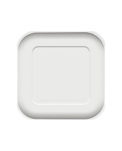 Platos Papel Cuadrados Blancos 23cm Compostables Certificados 