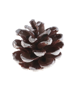 Piña Pino 5cm Madera ***OFERTA DTO NO ACUMULABLE