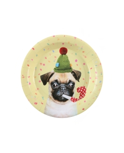 Plato Perro 22.5cm Carton