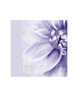 Servilletas 33X33 Dalia Purpura 3Ply Fsc 