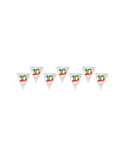 Banderin Multicolor 10 Años 22X26cm X3m Carton