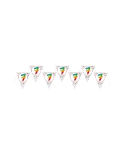 Banderin Multicolor 7 Años 22X26cm X3m Carton