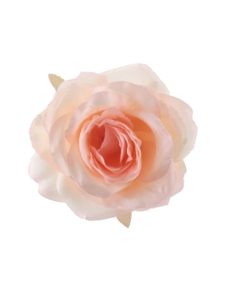 Rosa Melocoton 10X7.5cm Poliester