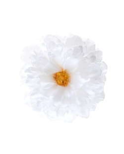 Peonia Blanco 11X5cm Poliester