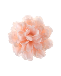 Peonia Melocoton 11X5cm Poliester
