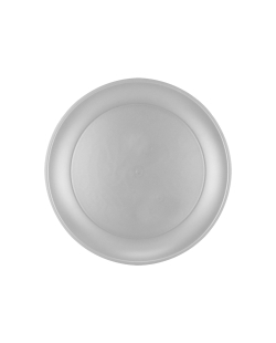 Plato Plastico Reutilizable 21cm Plata