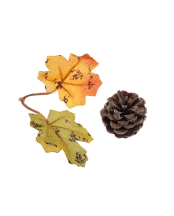 Surtido Piñas 4,5X5cm Madera/Plastico ***OFERTA DTO NO ACUMULABLE