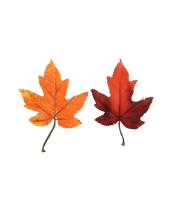 Hoja Otoño Naranja 9.5X10cm Poliester/Plastico ***OFERTA DTO NO ACUMULABLE