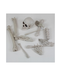 Decoracion Kit Huesos 