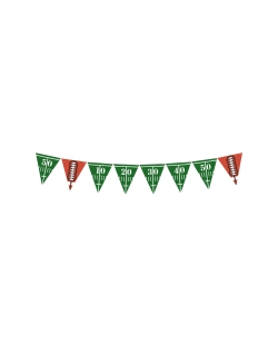 Banderin Triangulos Touchdown! Papel 400X19cm 