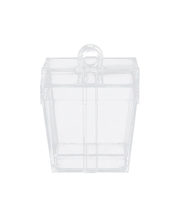 Acc. Peso Caja Regalo Hueca 50gr 