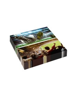 Servilletas 33X33cm Futbol Kick It 