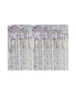 Cortina Holografica 90X250cm ***OFERTA DTO NO ACUMULABLE
