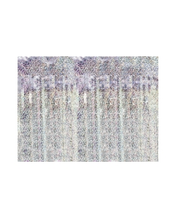 Cortina Holografica 100X200cm ***OFERTA DTO NO ACUMULABLE