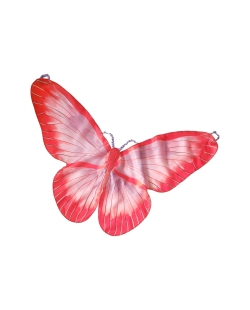 Alas De Mariposa ***OFERTA DTO NO ACUMULABLE