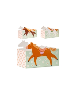 Cajas Snacks Caballos ***OFERTA DTO NO ACUMULABLE