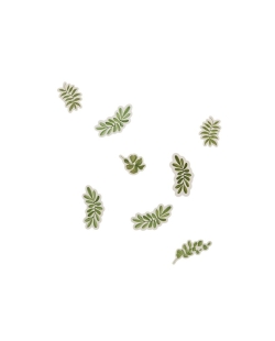 Confeti Botanica 14gr
