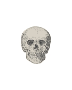 Servilletas Forma Calavera