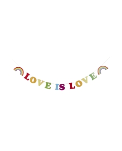 Pancarta Love Is Love 2m Carton