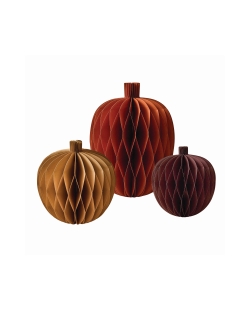 Set Deco Nido Abeja Calabazas
