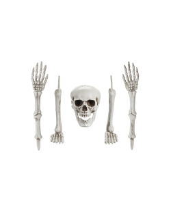 Decoracion Esqueleto ***OFERTA DTO NO ACUMULABLE