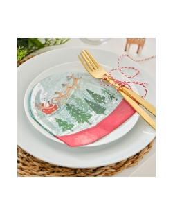 Servilletas Fsc Forma Bola Nieve ***OFERTA DTO NO ACUMULABLE